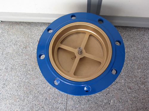 HC41X消聲止回閥進水口 HC41X消聲止回閥進水口