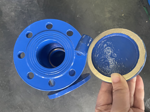 旋啟式止回閥硬密封閥板