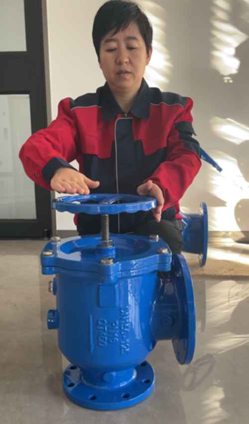 多功能三合一角型止回閥內(nèi)部結(jié)構(gòu)