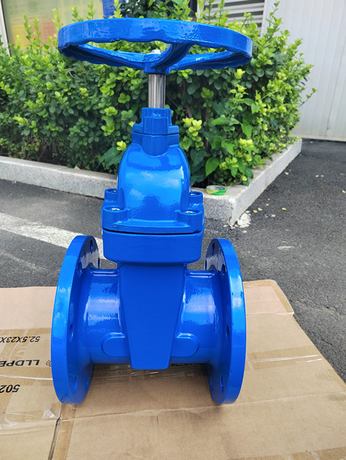 暗桿軟密封閘閥DN150背面