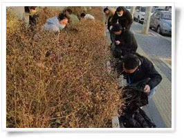 凈美中國(guó)從門口開(kāi)始