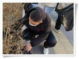 凈美中國(guó)在行動(dòng)真干